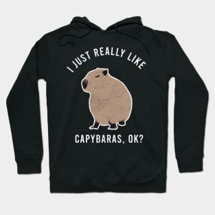 i just really like Capybaras Hoodie